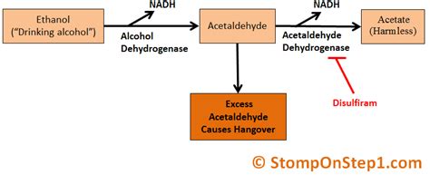 alcoholism ethanol metabolism methanol poisoning stomp  step