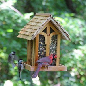 top   bird feeders  chickadees  ultimate buyers guide