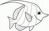 Fish Coloring Angel Eyed Big Pages Angelfish Getcolorings sketch template