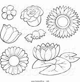 Outline Flower Coloring Pages Vector Flowers Simple Drawing Newdesign Via Outlines Clip sketch template