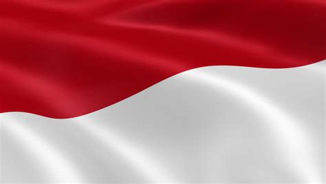 Indonesian Close Up Waving Flag Hd Loop Stock Footage
