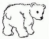 Coloring Pages Bear Baby Outline Bears Printable Drawing Sheets Polar Line Sheet Print Teddy Clipart Color Clip Kids Cliparts Animal sketch template