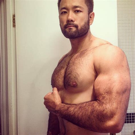 japanese muscle bears