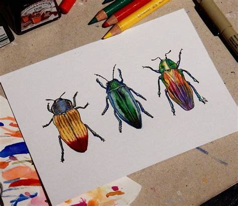 original insect art  beetle drawing insect bug sketch  colored