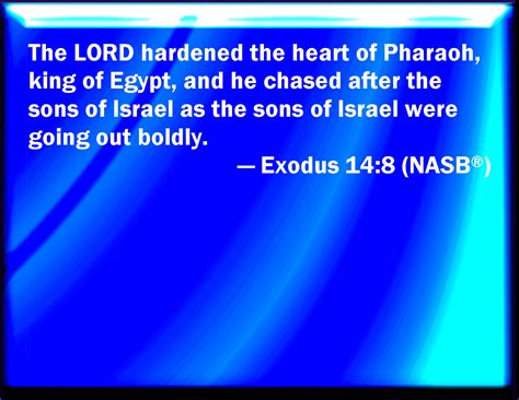 exodus 14 8 and the lord hardened the heart of pharaoh king of egypt