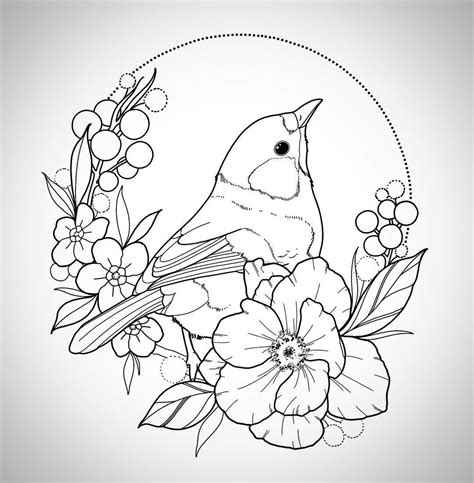 sketches  birds  flowers