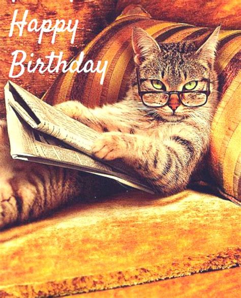 birthday wishes  cats page