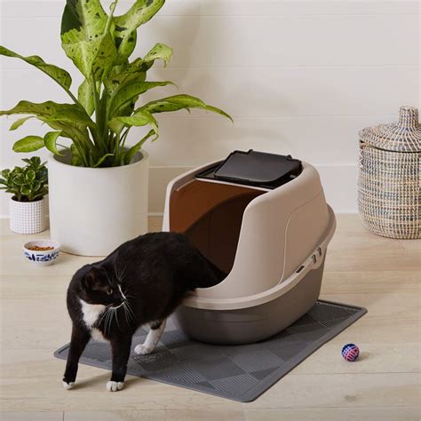 guide    dog proof cat litter boxes ipetcompanion