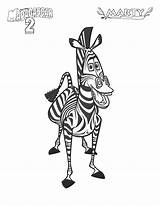 Marty Zebra Madagascar Coloring sketch template