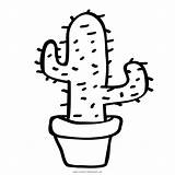 Kaktus Prickly Pear Lazyload Pinclipart Mirage Cloudzoom Clipartkey Kindpng sketch template