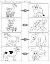 Coloring Pages Opposites Color Faster Animal Clipart Kids Cartoon English Printable Pair Each Look Activity Educational Popular Print Conflict sketch template
