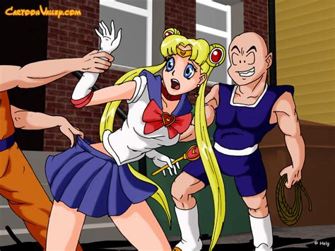 sailormoon and dragonball x sex porn image 11980