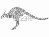 Wallaroo Coloring Designlooter Drawings Stress Kangaroo Drawn Adults Anti Hand Book 338px 45kb sketch template