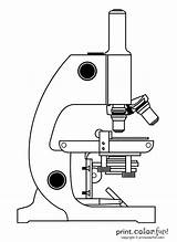 Microscope Openclipart Broken sketch template
