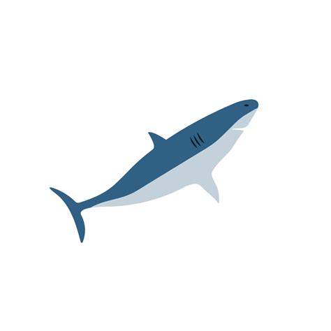 simple shark vector template edit