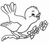 Baby Bird Coloring Pages Drawing sketch template