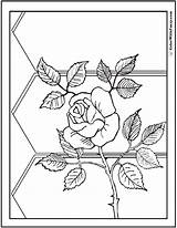 Rose Coloring Pages Wild Sheet Fence Pdf Printables Kids Colorwithfuzzy sketch template