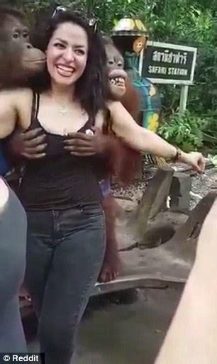 safari tits clip free hot sex teen