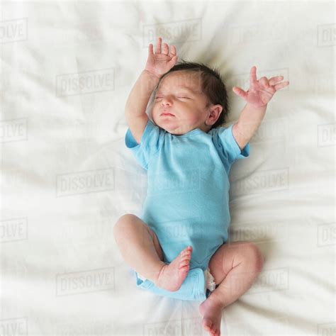 portrait  newborn baby boy   months sleeping stock photo dissolve