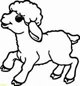 Sheep Coloring Cute Small Getdrawings sketch template