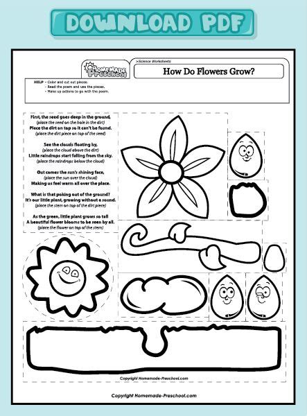 fun  interactive preschool worksheets science worksheets coloring