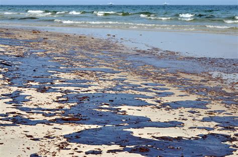 effects  oil spills  marine human life american oceans