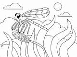 Dragonfly Coloring sketch template