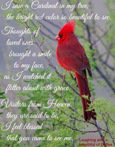 image result  cardinal poem  loved  sayings  love