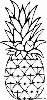Pineapple Coloring Pineapples Drawing Fruits Pages Easy Color Choose Board Pinapple Simple sketch template