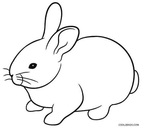 bunny rabbit coloring pages rabbits  small mammals   family