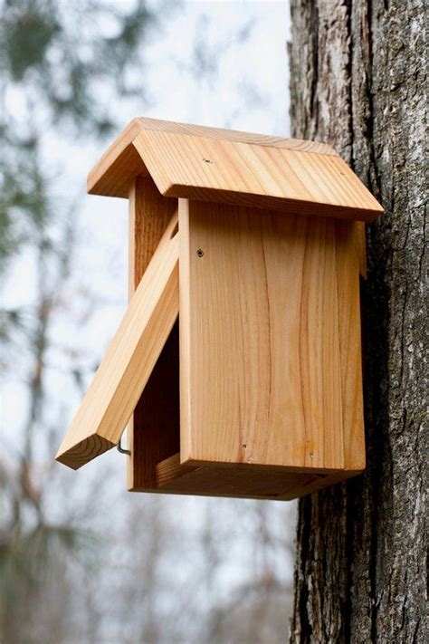 titmouse bird house plans
