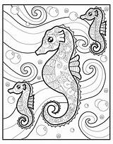 Coloring Macmillan Zendoodle Animals Baby Jeanette Cuddly Creatures Bliss Color sketch template