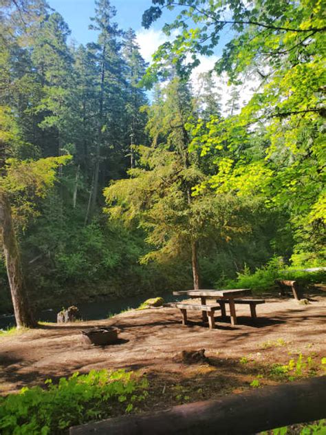 la wis wis campground  mount rainier national park park ranger john