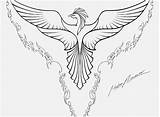Phoenix Coloring Pages Bird Adults Getcolorings Ashes Rising Drawing Printable Getdrawings Color sketch template