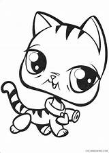 Coloring Pages Shop Pet Littlest Cute Kitten Coloring4free Printable Related Posts sketch template