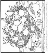 Still Life Coloring Paintings Designlooter Dover Publications Own Color sketch template