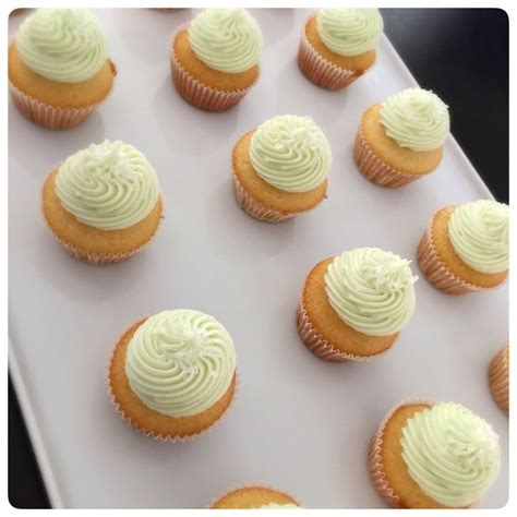 light green frosted cupcake mini cupcakes cupcake