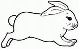 Rabbit Outline Bunny Coloring Pages Animal Template Drawing Colouring Templates Jumping Rabbits Printable Clipart Realistic Print Silhouette Bunnies Cute Easter sketch template