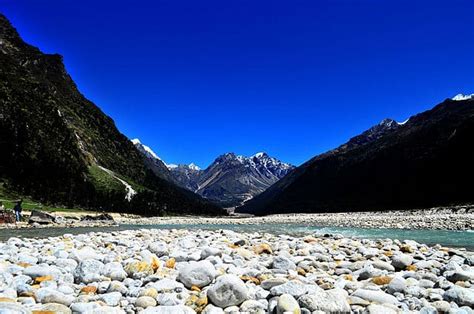complete  guide  yumthang valley hill station trans india travels