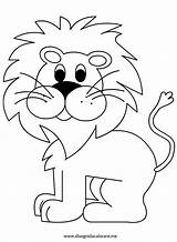 Colorare Da Leone Disegni Animali Disegno Di Choose Board Coloring Kids Pages Con Lion sketch template