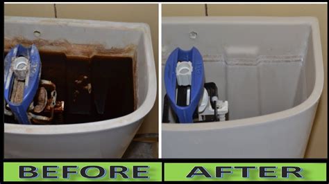 heres   clean  toilet tank  premier daily