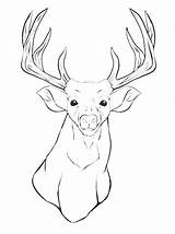 Coloring Deer Pages Head Printable Buck Mule Whitetail Animal Silhouette Drawing Antler Outline Adult Print Skull Kids Color Clip Mount sketch template