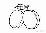 Plum Coloring Pages Clipart Fruit Outline Drawing Kids Passion Drawings Color Fruits Print Getdrawings Colouring Clipartmag Prinables Printable Visit Popular sketch template