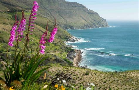 tintswalo atlantic atlantic picturesque africa