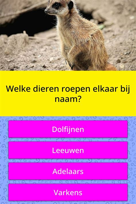 welke dieren roepen elkaar bij naam trivia antwoorden quizzclub