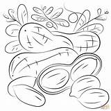 Coloring Peanut Pages Printable Supercoloring Categories sketch template