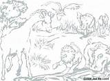 Coloring Acacia Tree Pages Safari Animals Printable African Getdrawings Getcolorings Color Colorings sketch template