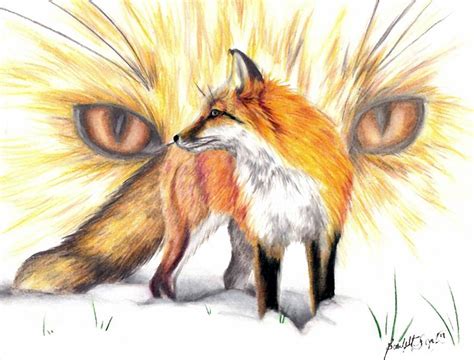 red fox drawing  scarlett royal