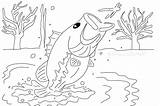 Largemouth Fishing sketch template