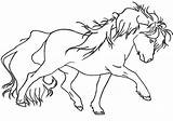 Miniature Horse Coloring Pages Pony Getcolorings sketch template